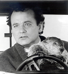 Don't drive angry!